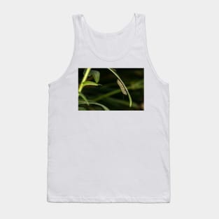 Monarch Caterpillar Tank Top